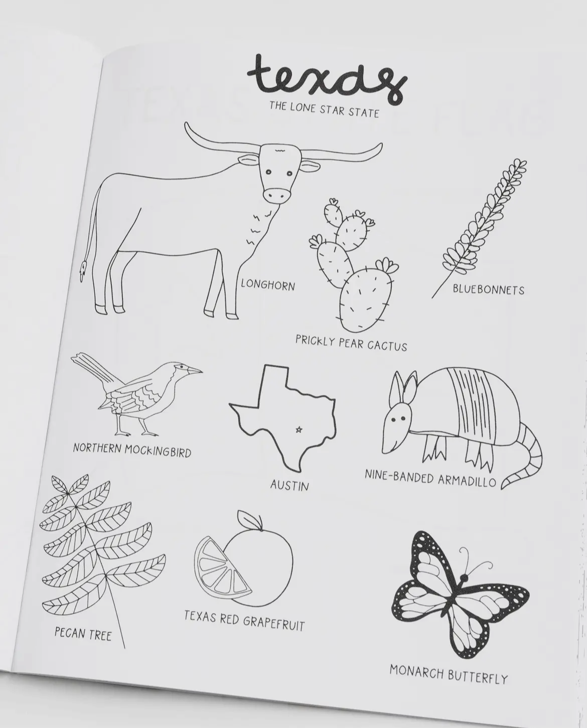 Texas Coloring Book