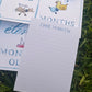 Monthly Milestone Card Set