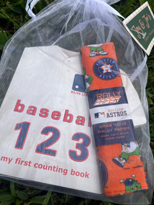 Astros Baby Bundle